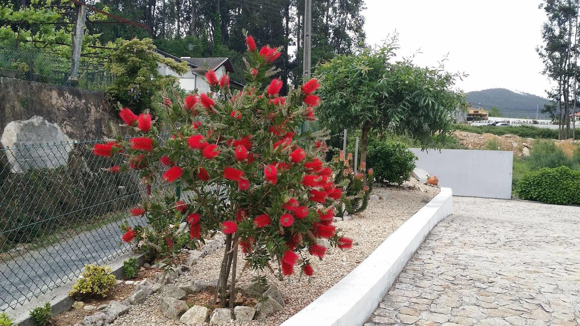 Vila Casa Do Porto Carreiro Oliveira de Azemeis Exteriér fotografie