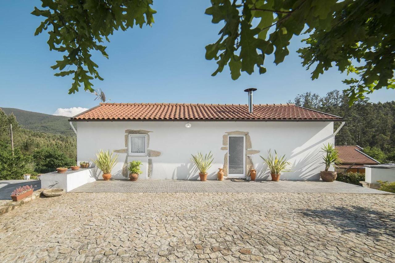 Vila Casa Do Porto Carreiro Oliveira de Azemeis Exteriér fotografie